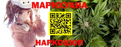 СК Владимир